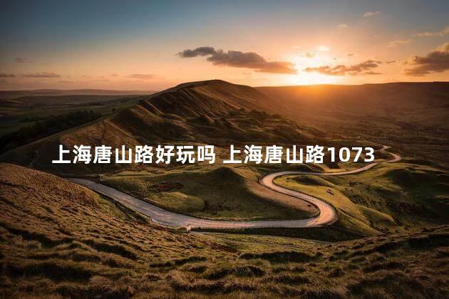 上海唐山路好玩吗 上海唐山路1073弄属于哪个区